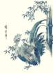photo610_small.jpg