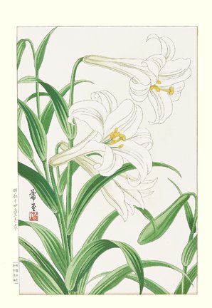photo36.jpg