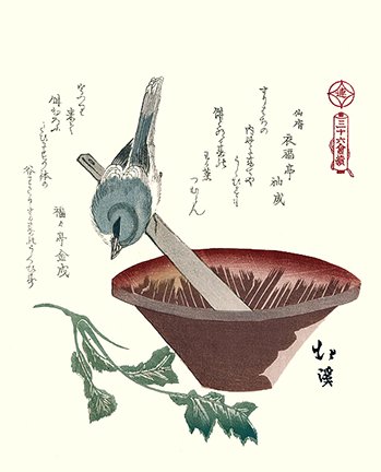 photo6.jpg