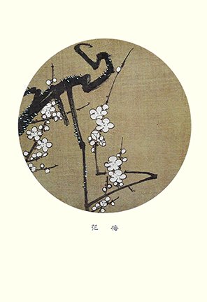 photo5.jpg