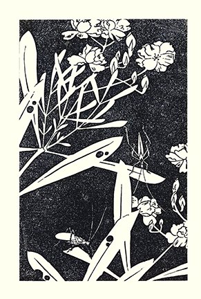 photo24.jpg