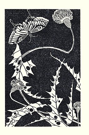 photo28.jpg