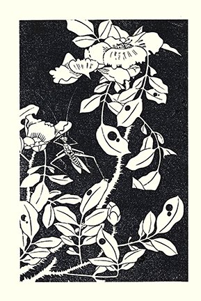 photo40.jpg