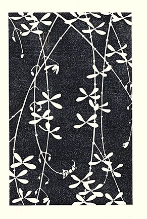 photo5.jpg