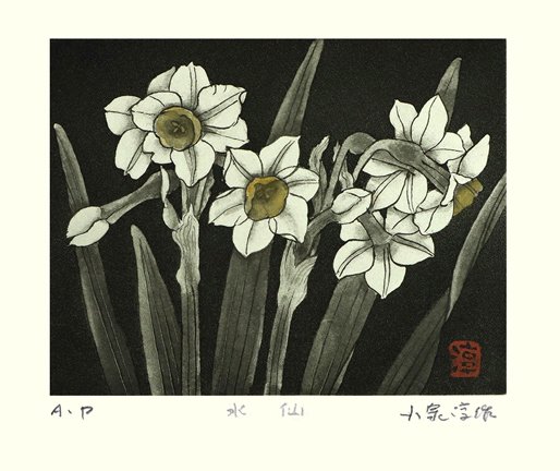 photo44.jpg