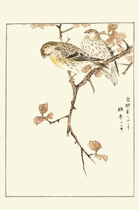 photo15.jpg