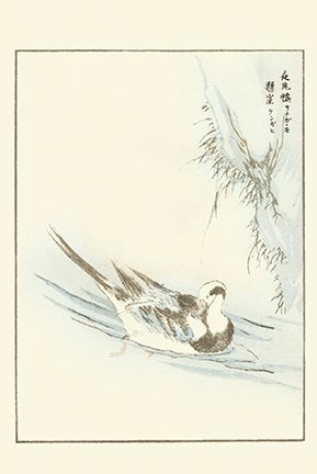 photo25.jpg