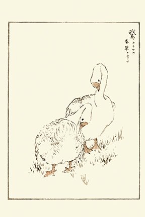 photo31.jpg
