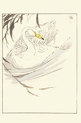 photo90.jpg