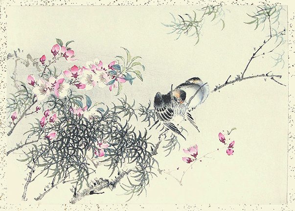 photo3.jpg
