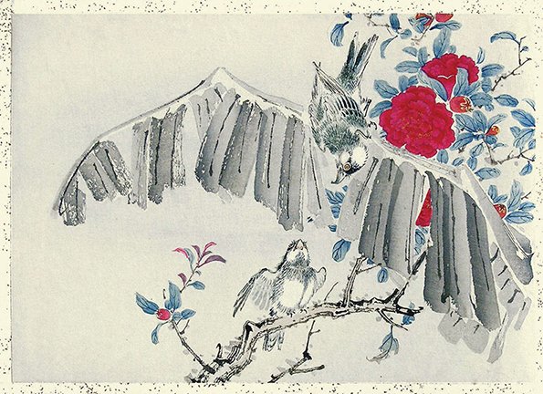 photo4.jpg