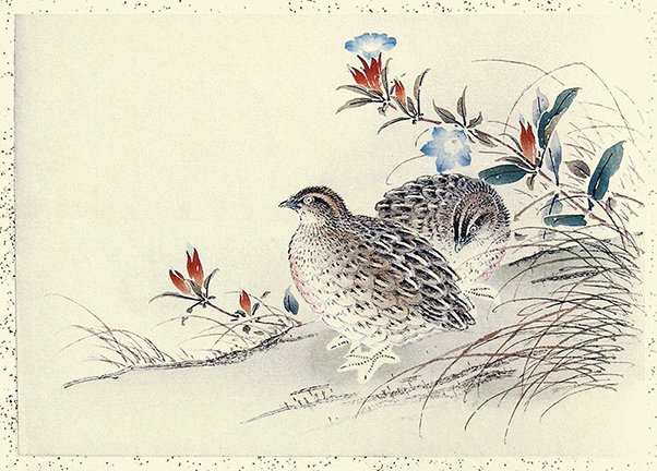 photo6.jpg