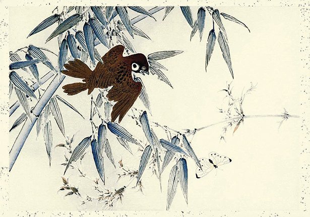photo8.jpg
