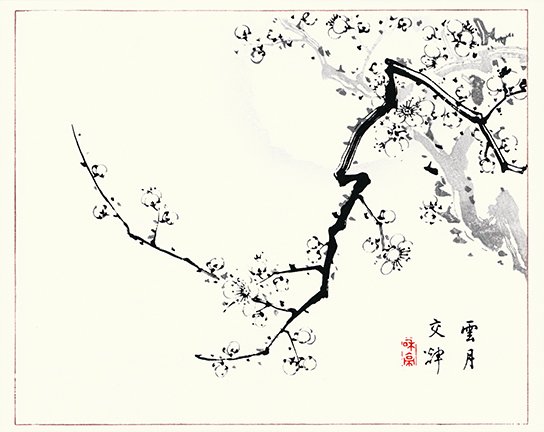 photo16.jpg
