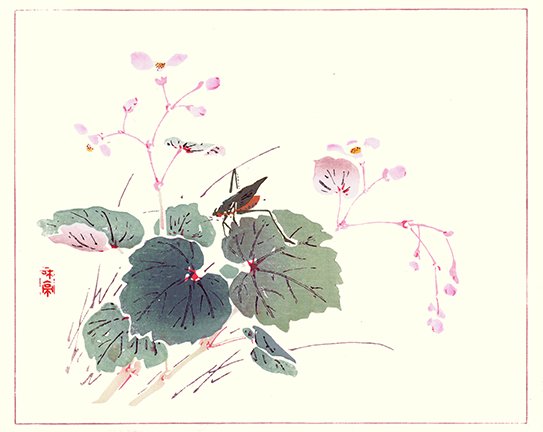 photo20.jpg