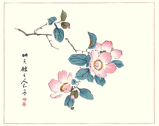 photo21.jpg
