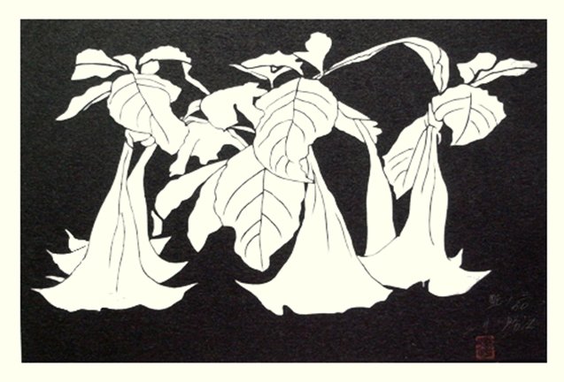 photo23.jpg
