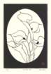 photo25_small.jpg