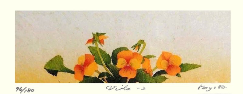photo31.jpg