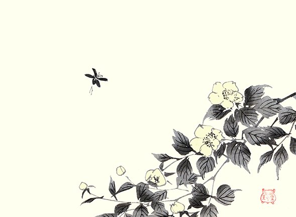 photo26.jpg