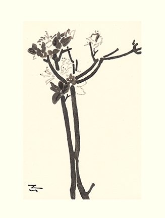 photo33.jpg