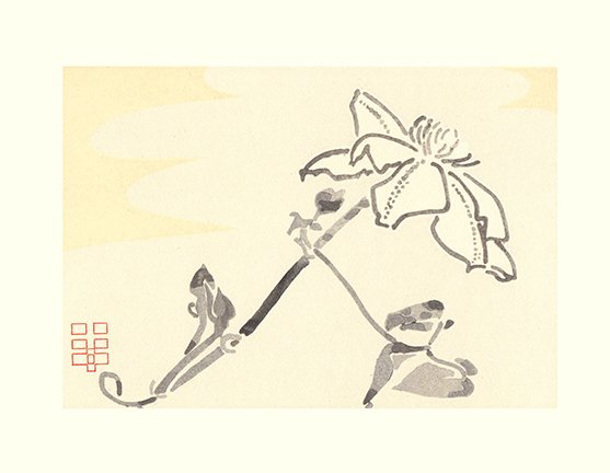 photo34.jpg