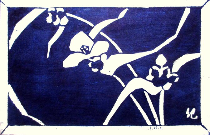 photo13.jpg