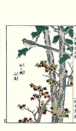 photo24.jpg