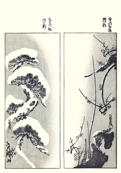 photo12.jpg