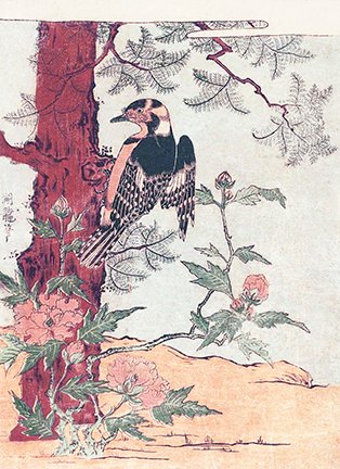 photo13.jpg