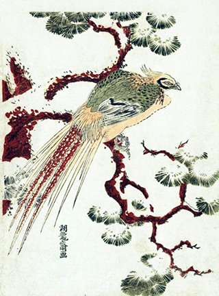 photo19.jpg