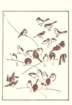 photo11_small.jpg