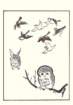 photo12_small.jpg