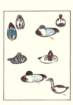 photo7_small.jpg