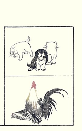 photo29.jpg