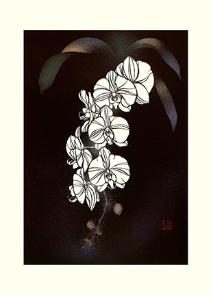 photo10.jpg