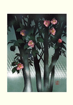photo24.jpg