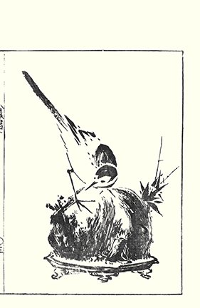 photo7.jpg