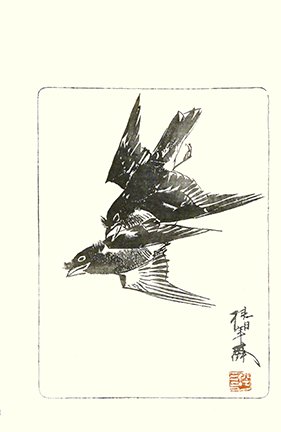 photo20.jpg