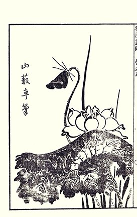 photo.jpg