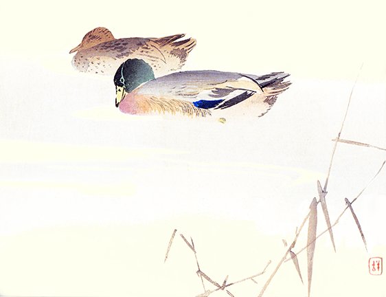 photo36.jpg