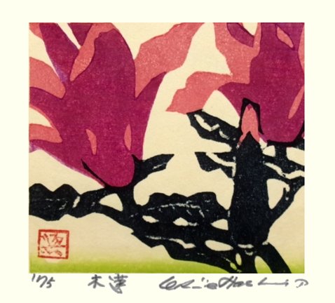 photo27.jpg