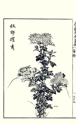 photo11.jpg