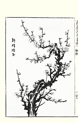 photo25.jpg