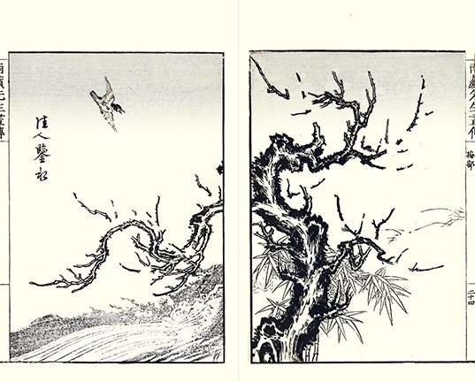 photo31.jpg