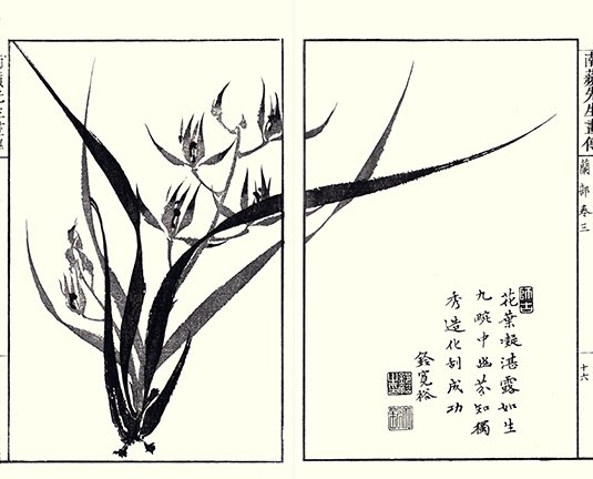 photo36.jpg