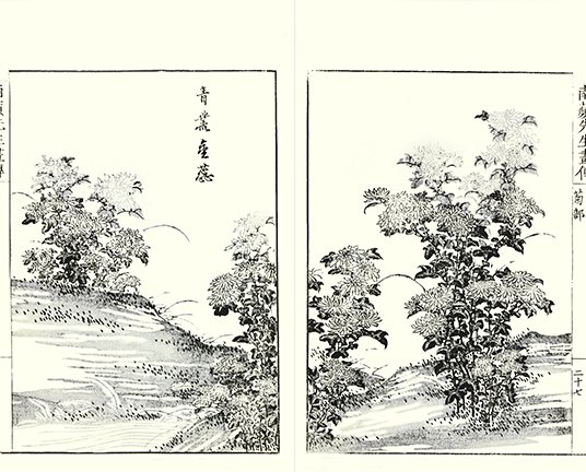 photo9.jpg