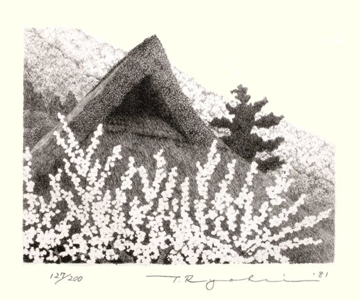 photo25.jpg