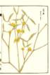 photo11_small.jpg