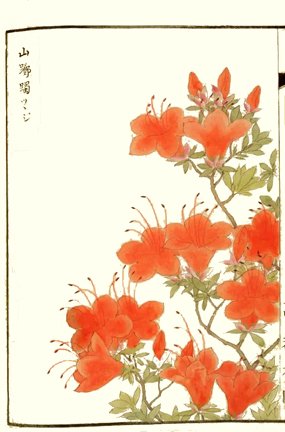 photo45.jpg